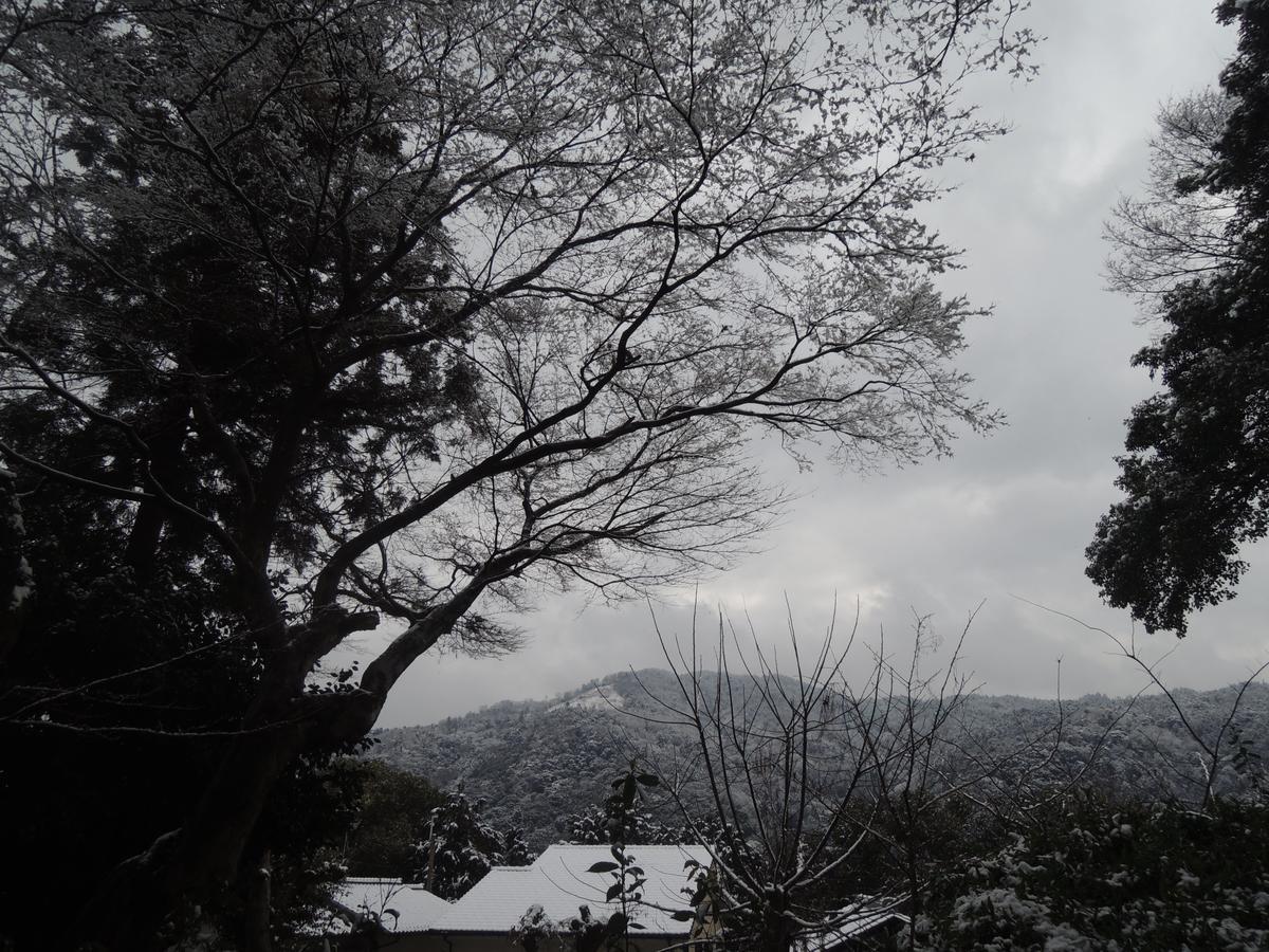 Ryokan Inn Yoshida-Sanso Kyoto Dış mekan fotoğraf